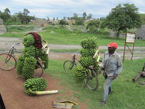 Einfaches-Dorf-Bananen