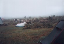 Campingplatz Pinan-Gebirge